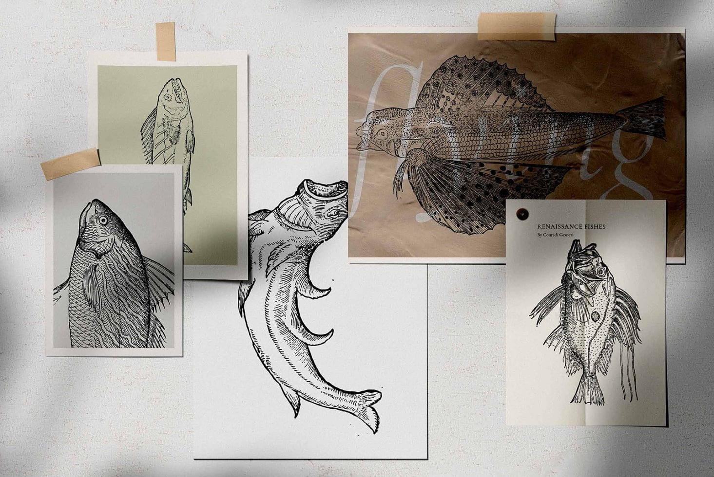 Scattered printed fish art prints with tape on neutral background mockup
