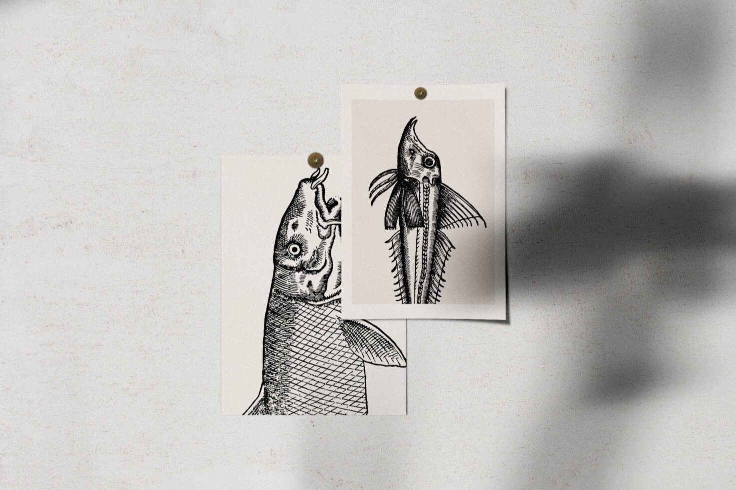Stacked printed pages with hand-drawn fish sketches taped to textured wall