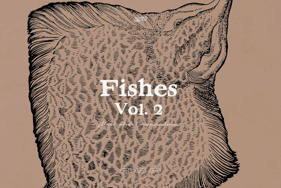 Book cover featuring large detailed fish illustration with title overlay