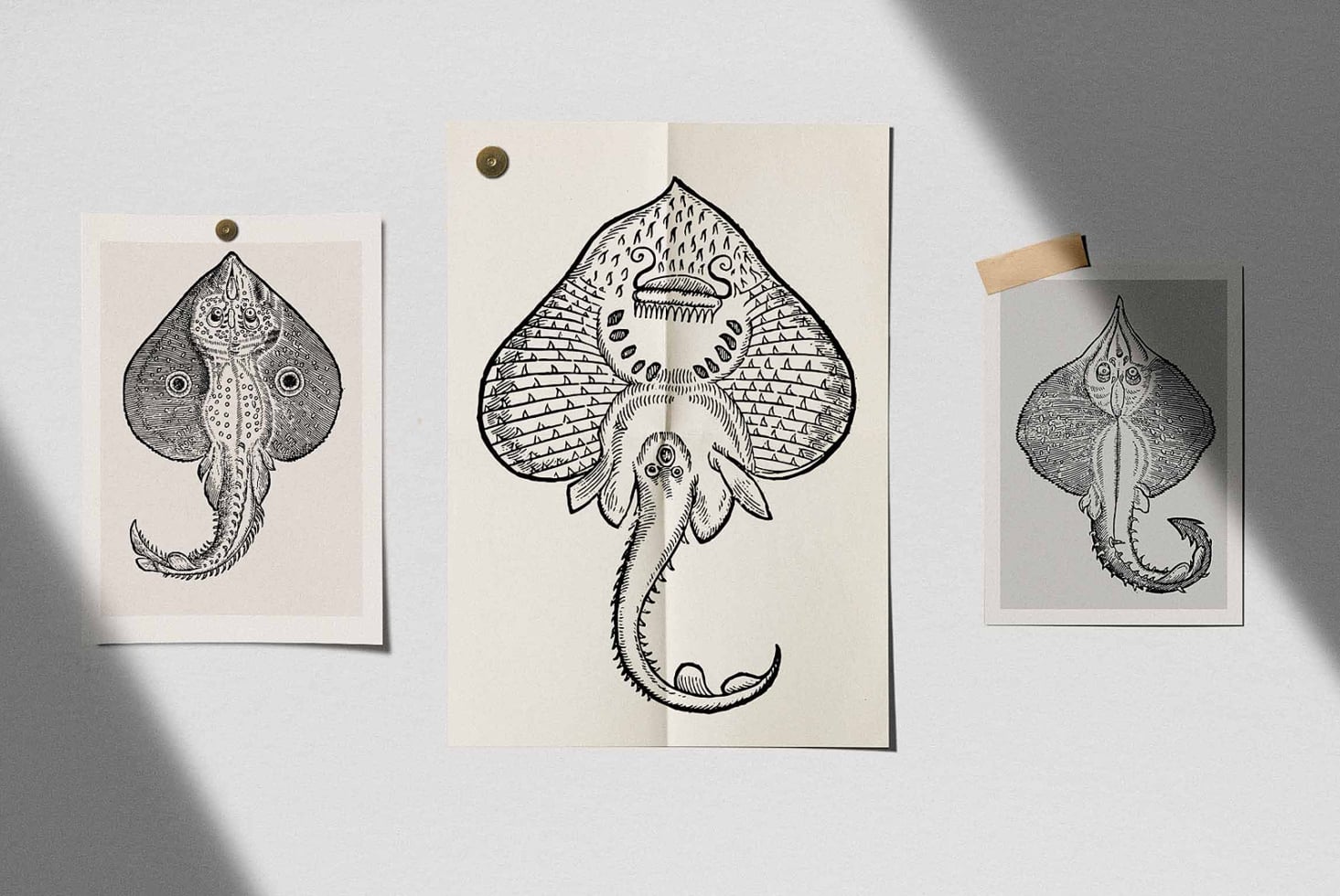 Three stingray illustrations on kraft paper with wood clips natural light