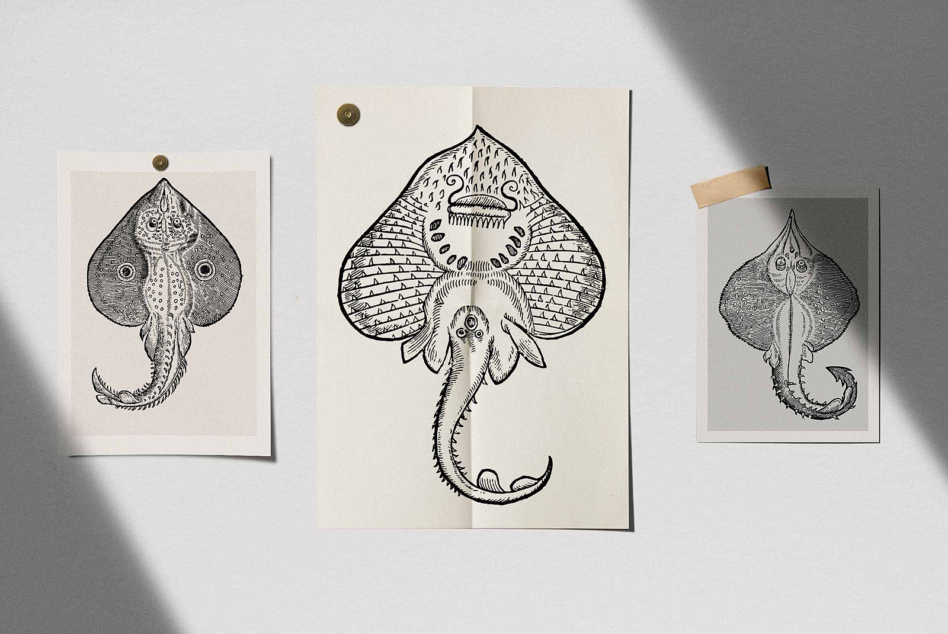 Three stingray illustrations on kraft paper with wood clips natural light