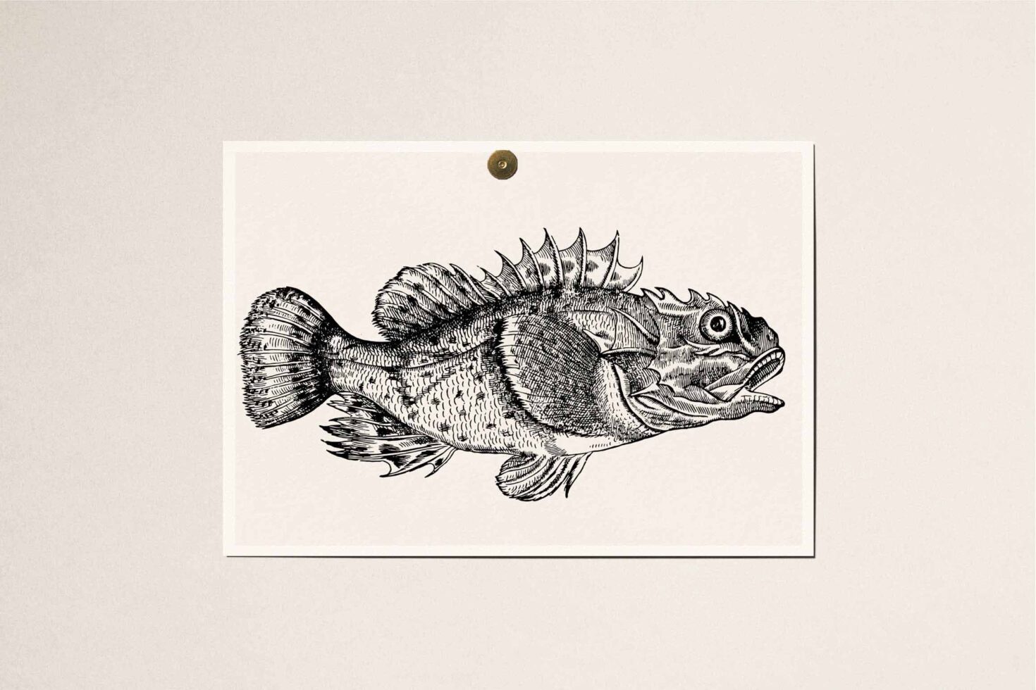 Detailed ink sketch of a fancy ornamental fish with spiky fins on cream paper