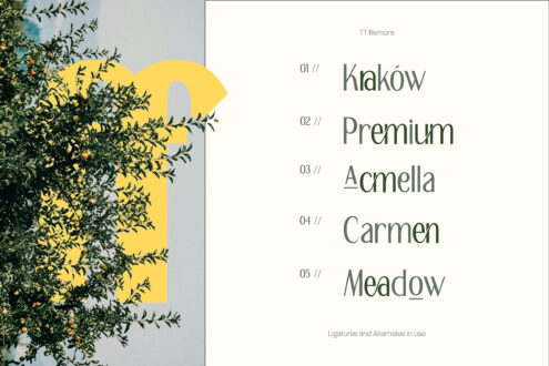 Typography specimen page listing five font style names with green leaf imagery