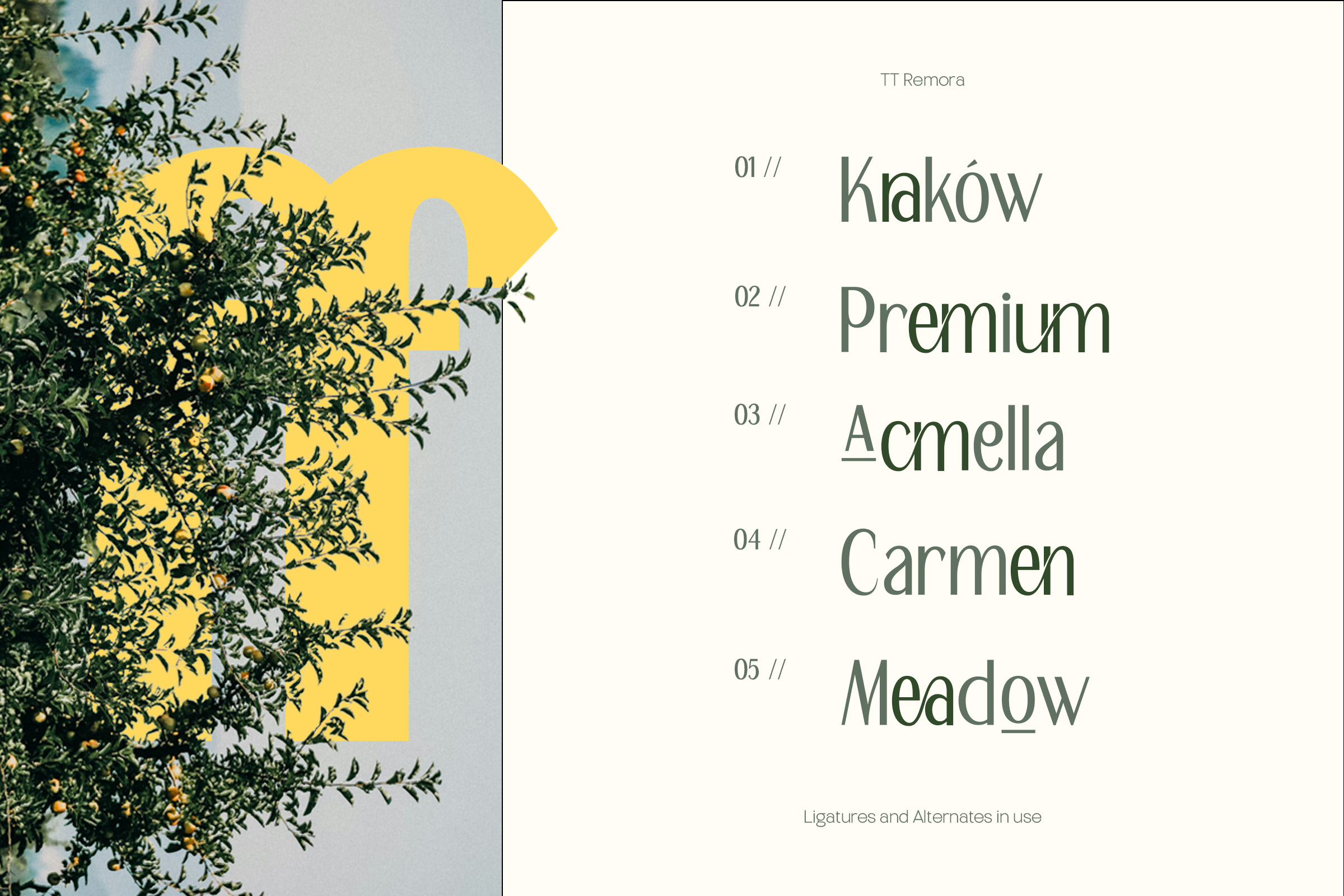 Typography specimen page listing five font style names with green leaf imagery