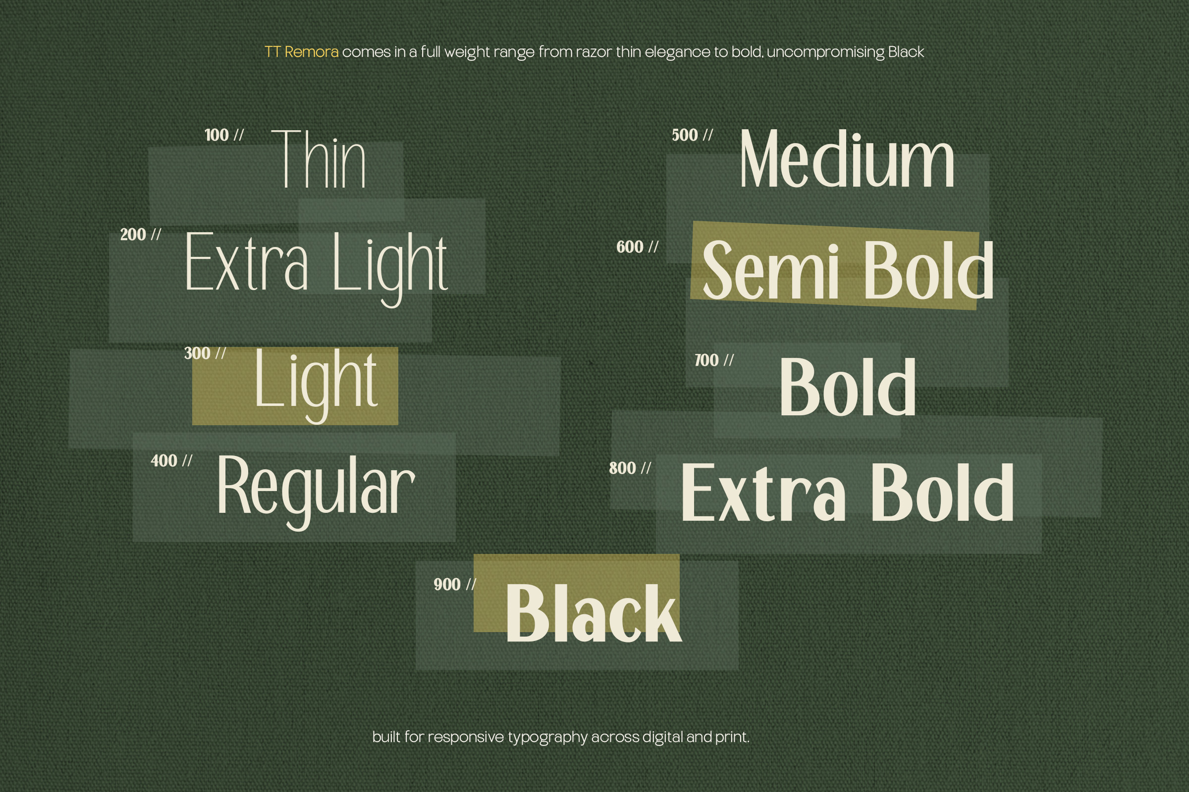 TT Remora font weight display showing thin through extra bold variations