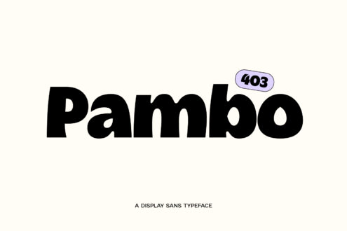Pambo display sans typeface with 403 error badge label cream background