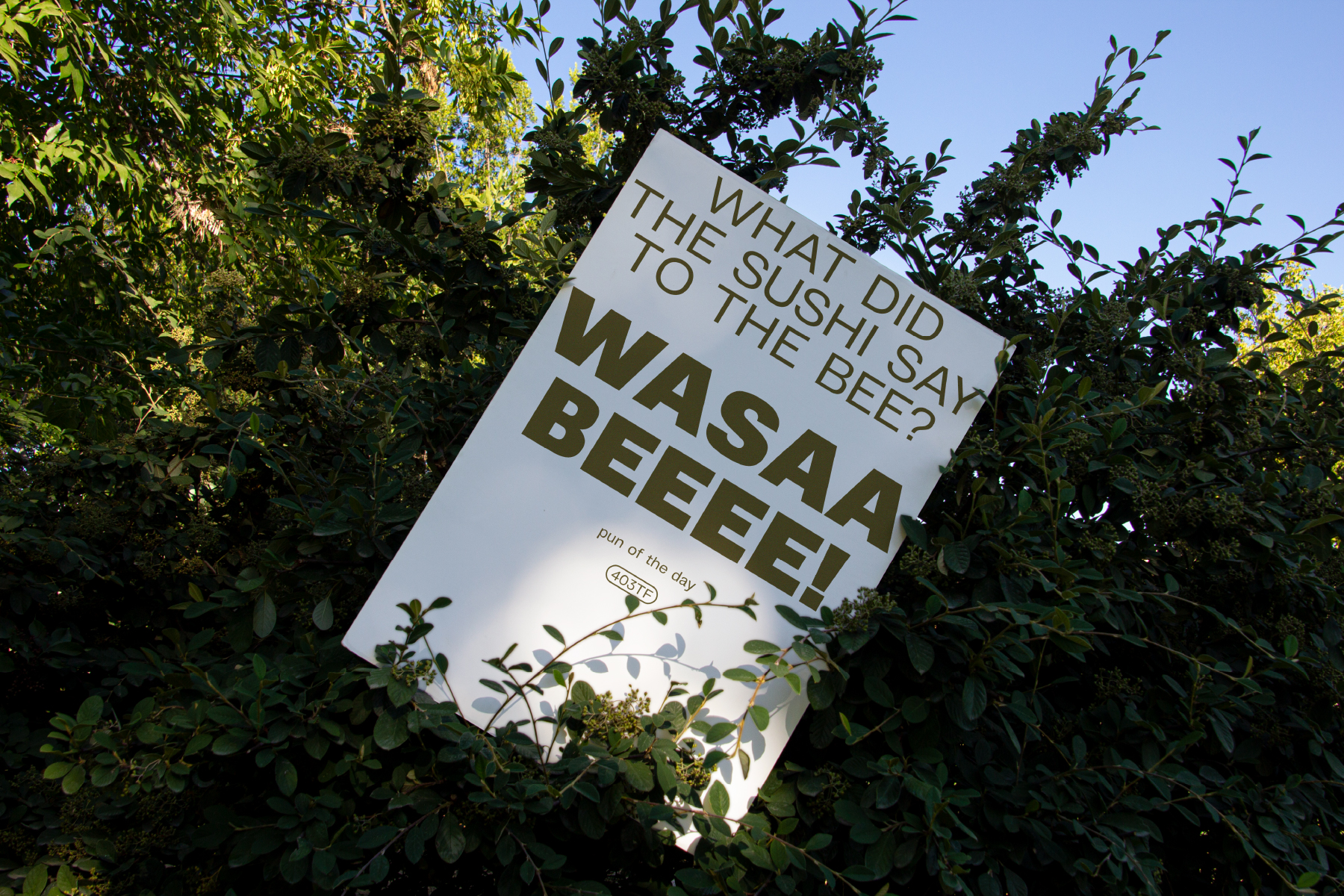 Outdoor sign with Wasaa Beeeef pun joke text nestled among green foliage
