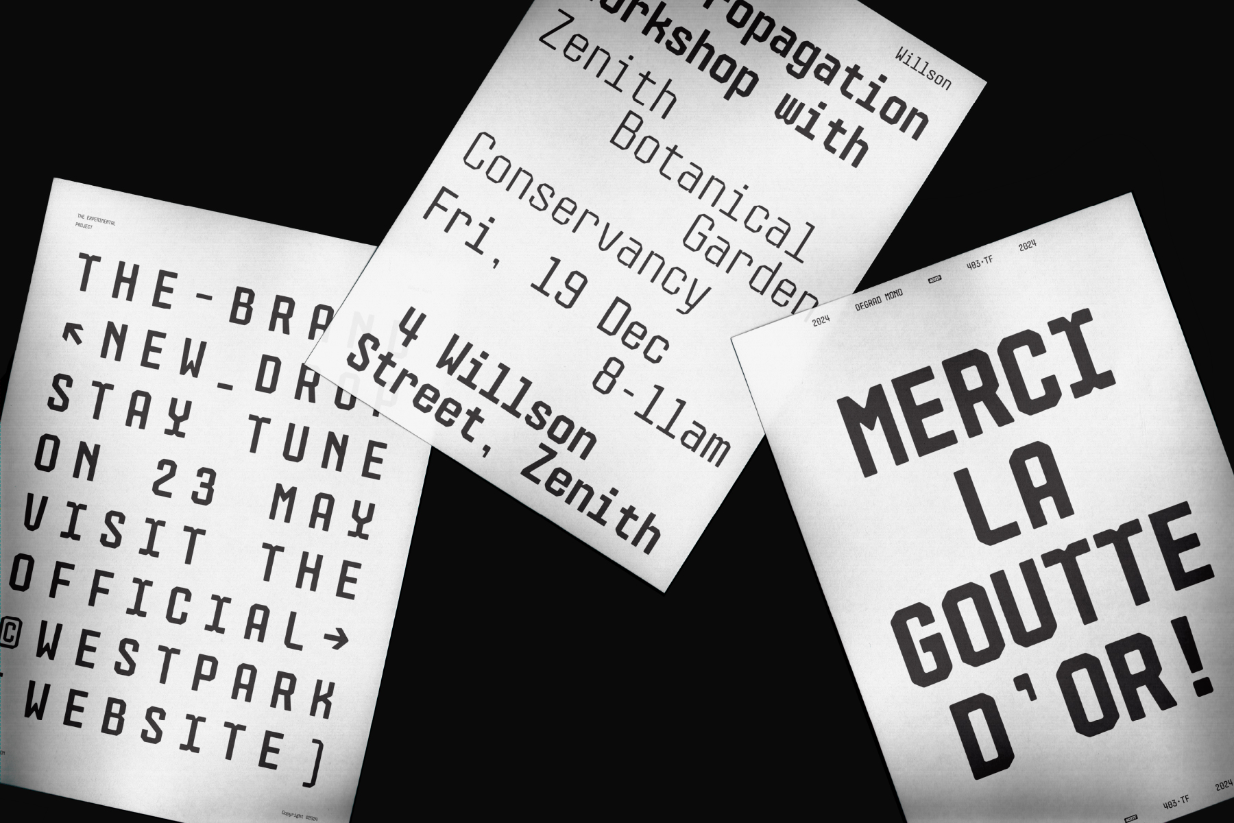 Three fanned printed posters with event details, typography mockup shot overhead