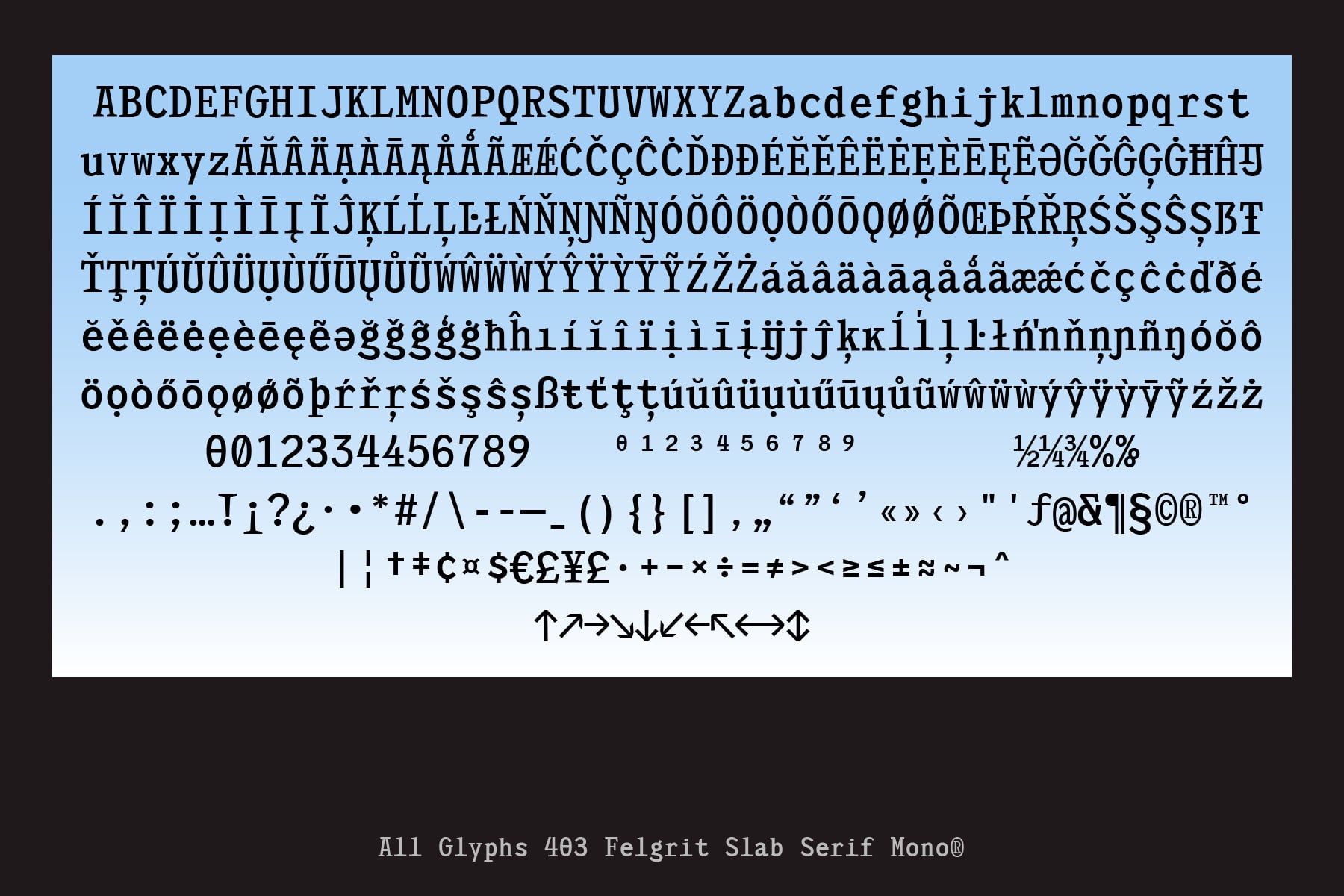 Complete glyph set for 403 Felgrit Slab Serif Mono including accented letters, numbers, symbols