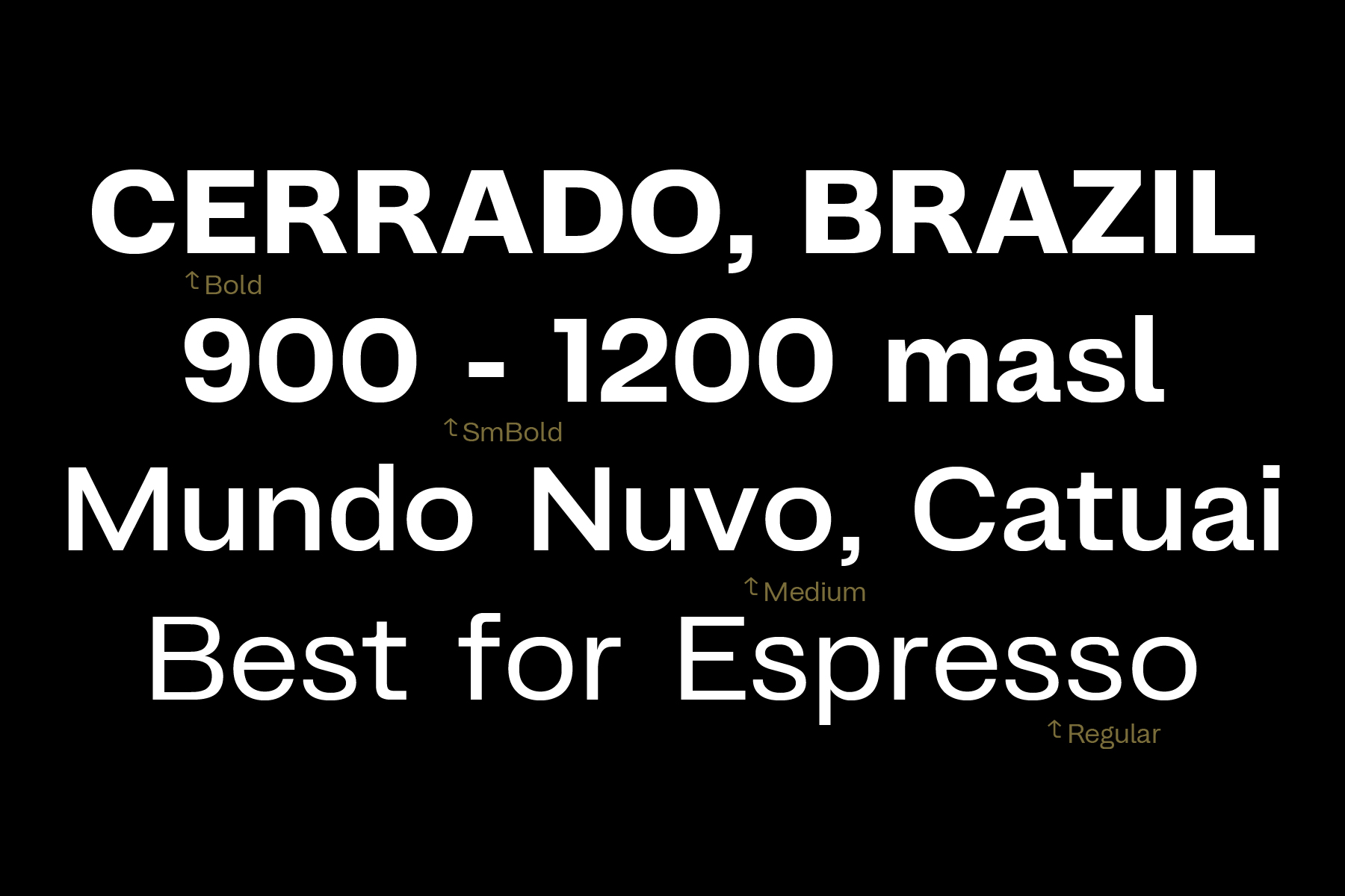 Font weight variations from light to black with italic styles in gold