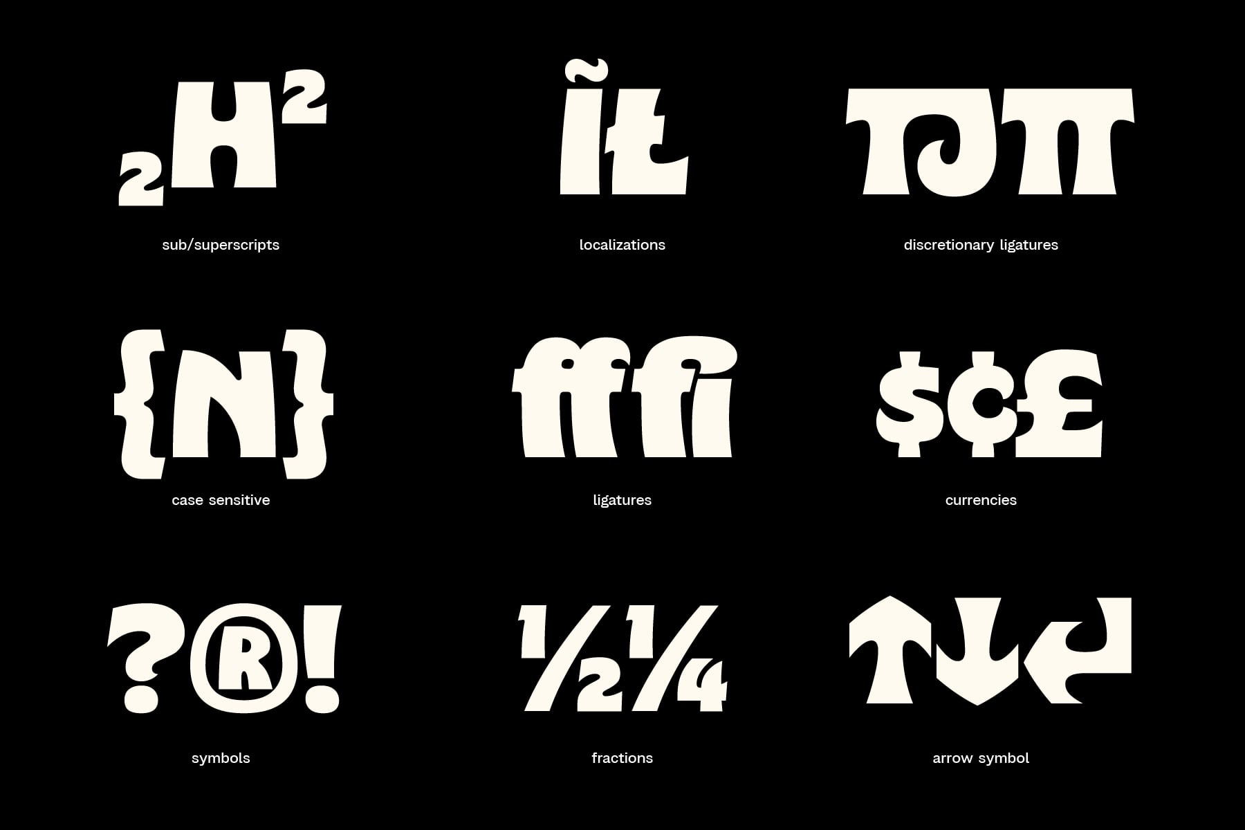 Font features grid showing subscripts, localizations, ligatures, case sensitive, discretionary ligatures, currencies