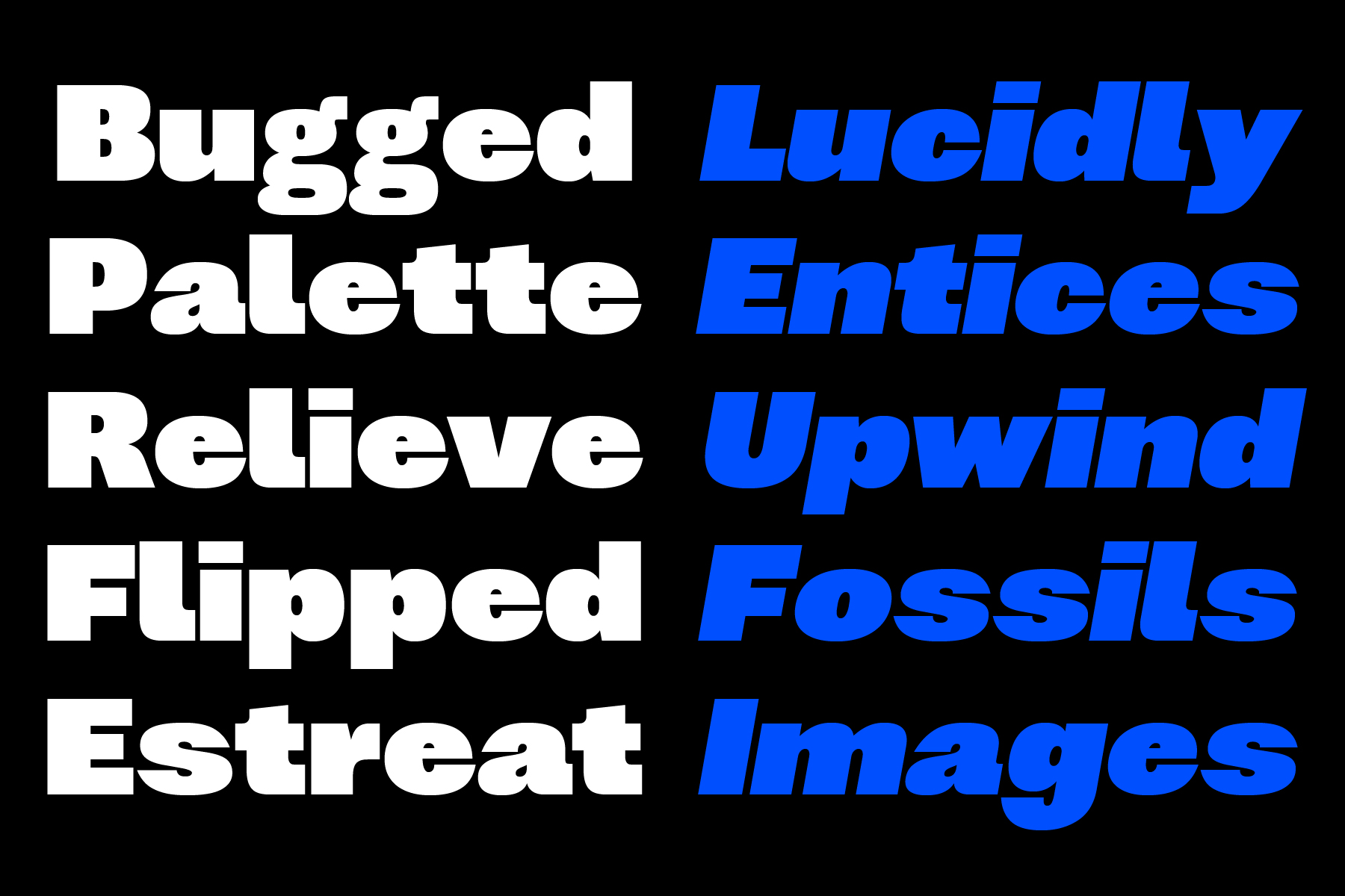 Split typography design showing white words on left, blue italic words on right side