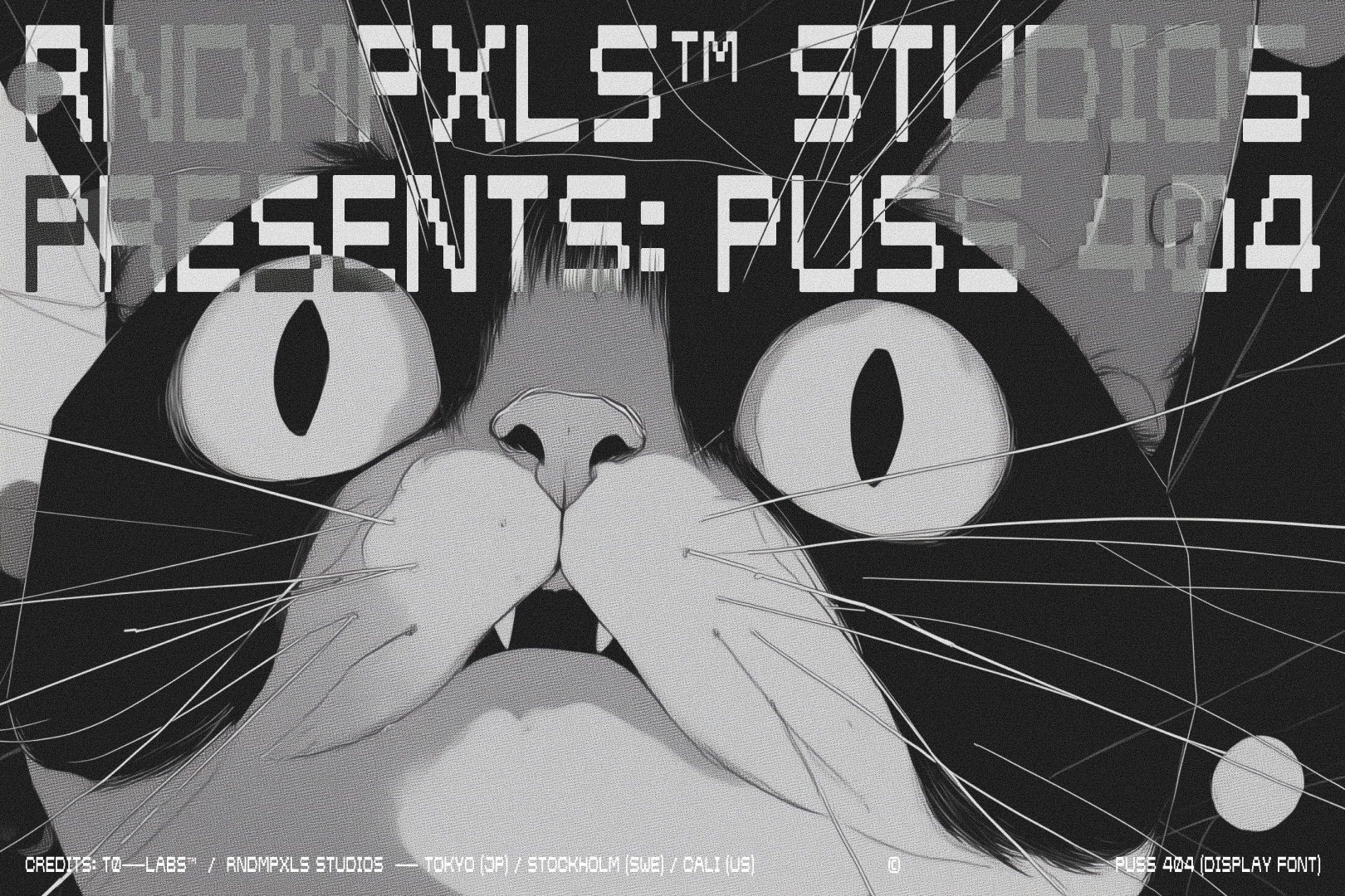 Close-up of wide-eyed cat face with shocked expression, pixelated glitch effects throughout