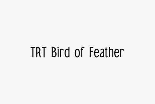 TRT Bird of Feather typeface displayed in bold black text