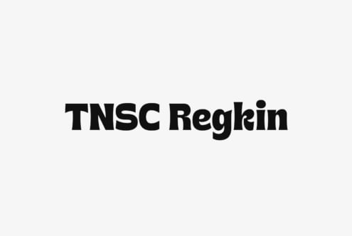 TNSC Regkin typeface in bold black letters on clean white background