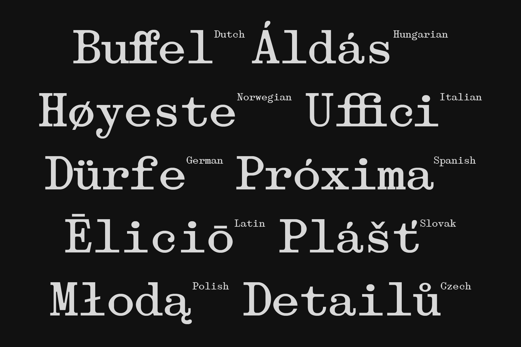 Serif font displaying international words with language origin labels