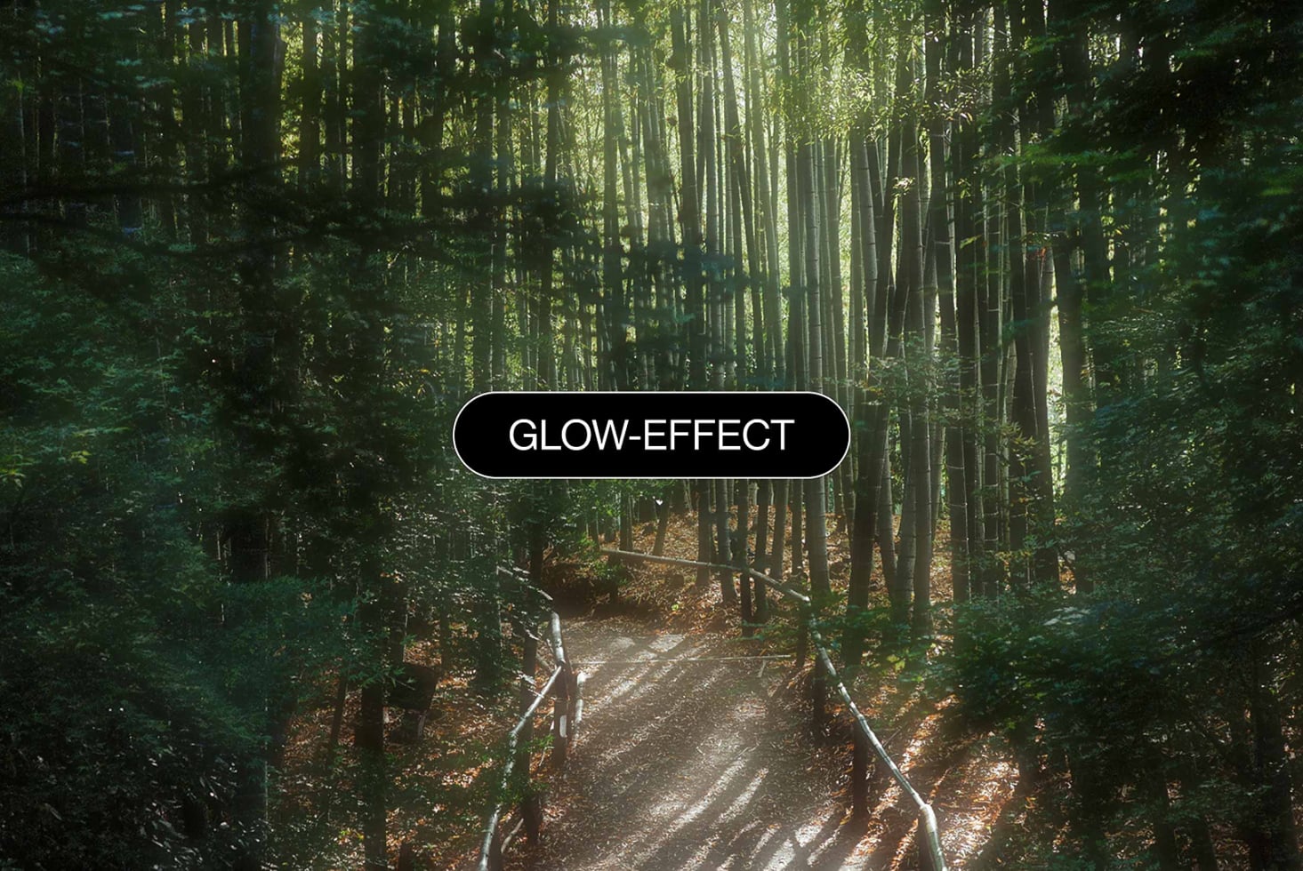 Forest path photo overlay showing soft glow effect label centered on image