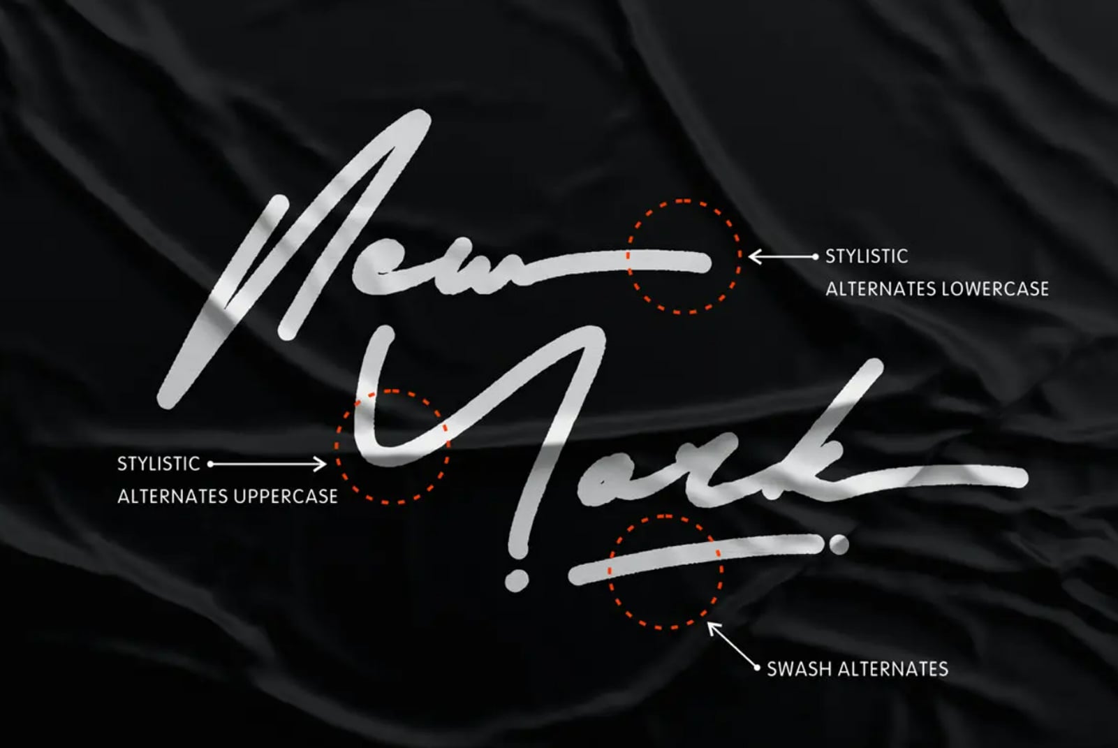 Script font with labeled stylistic alternates for uppercase, lowercase, swash