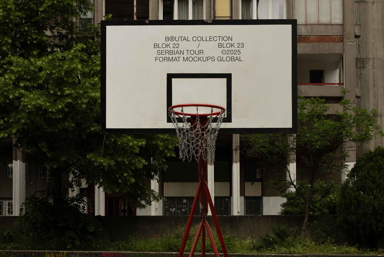 White basketball backboard with red rim, chain net visible against light background signage