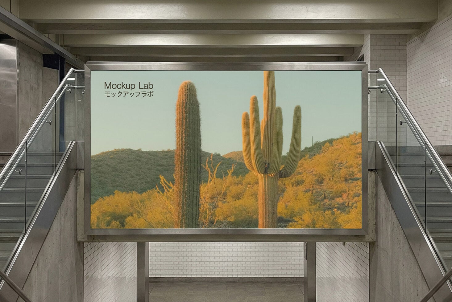 Large outdoor screen displaying desert cactus landscape in bright daylight