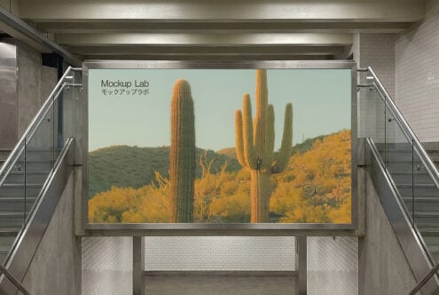 Large outdoor screen displaying desert cactus landscape in bright daylight