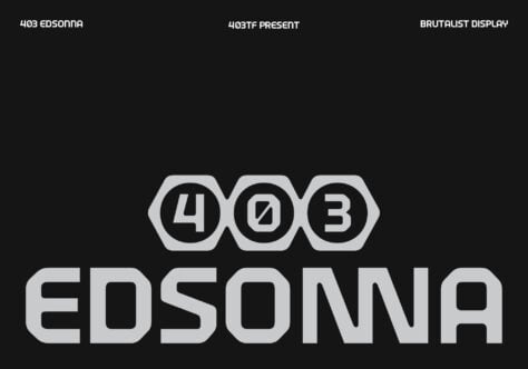 403 Edsonna logo in geometric hexagons with brutaliste display style