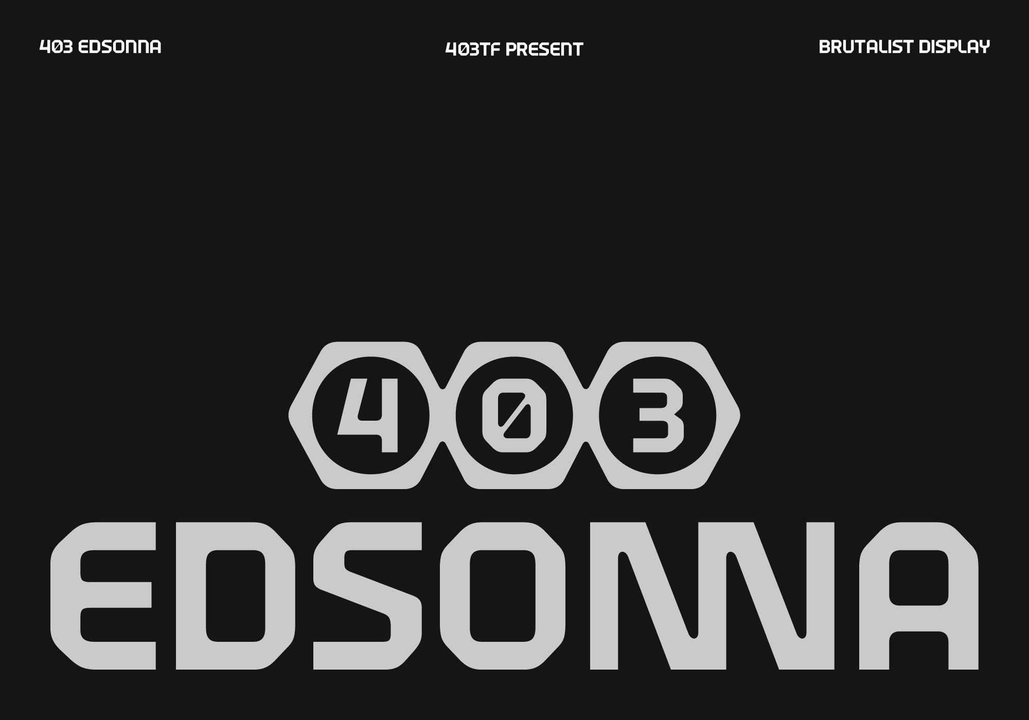 403 Edsonna logo in geometric hexagons with brutaliste display style