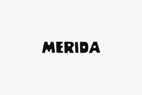 Bold black MERIDA text centered on clean light background mockup