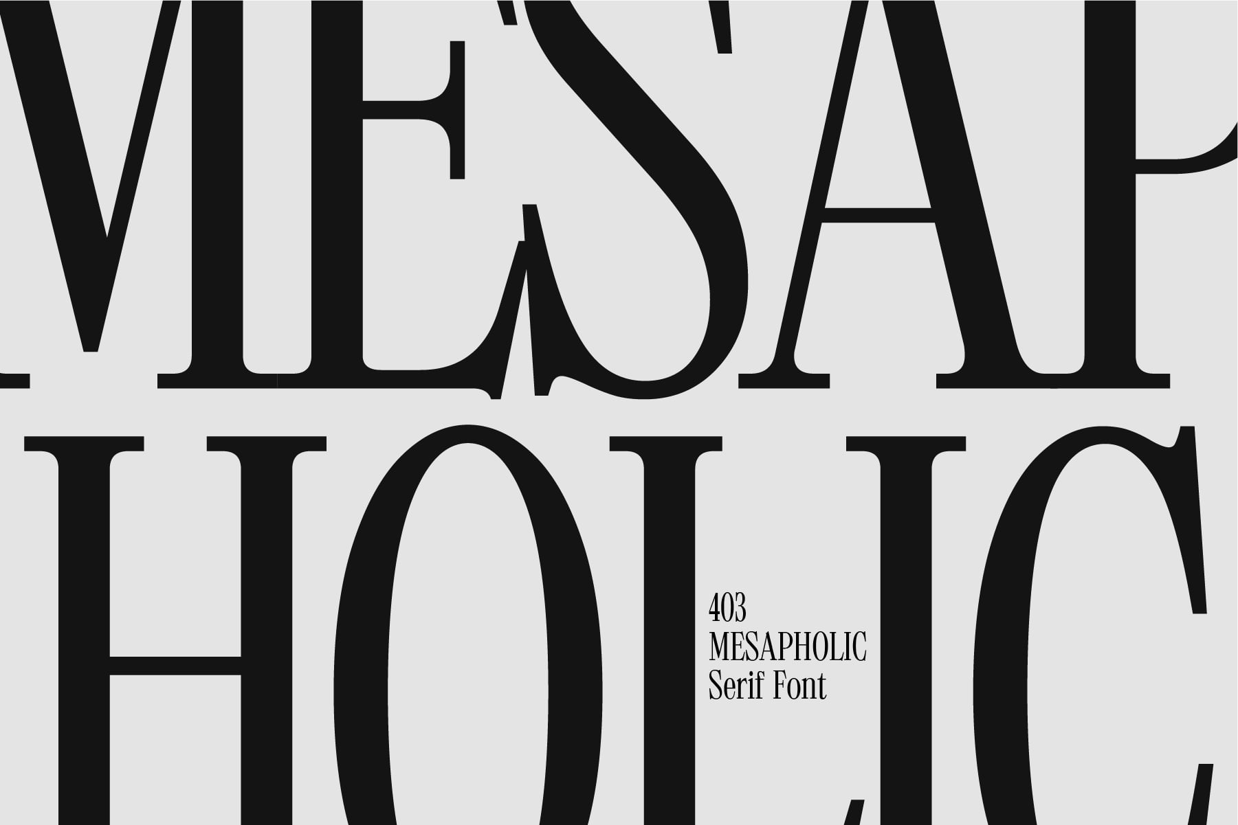 Mesapholic 403 serif font closeup showing bold letterforms in black