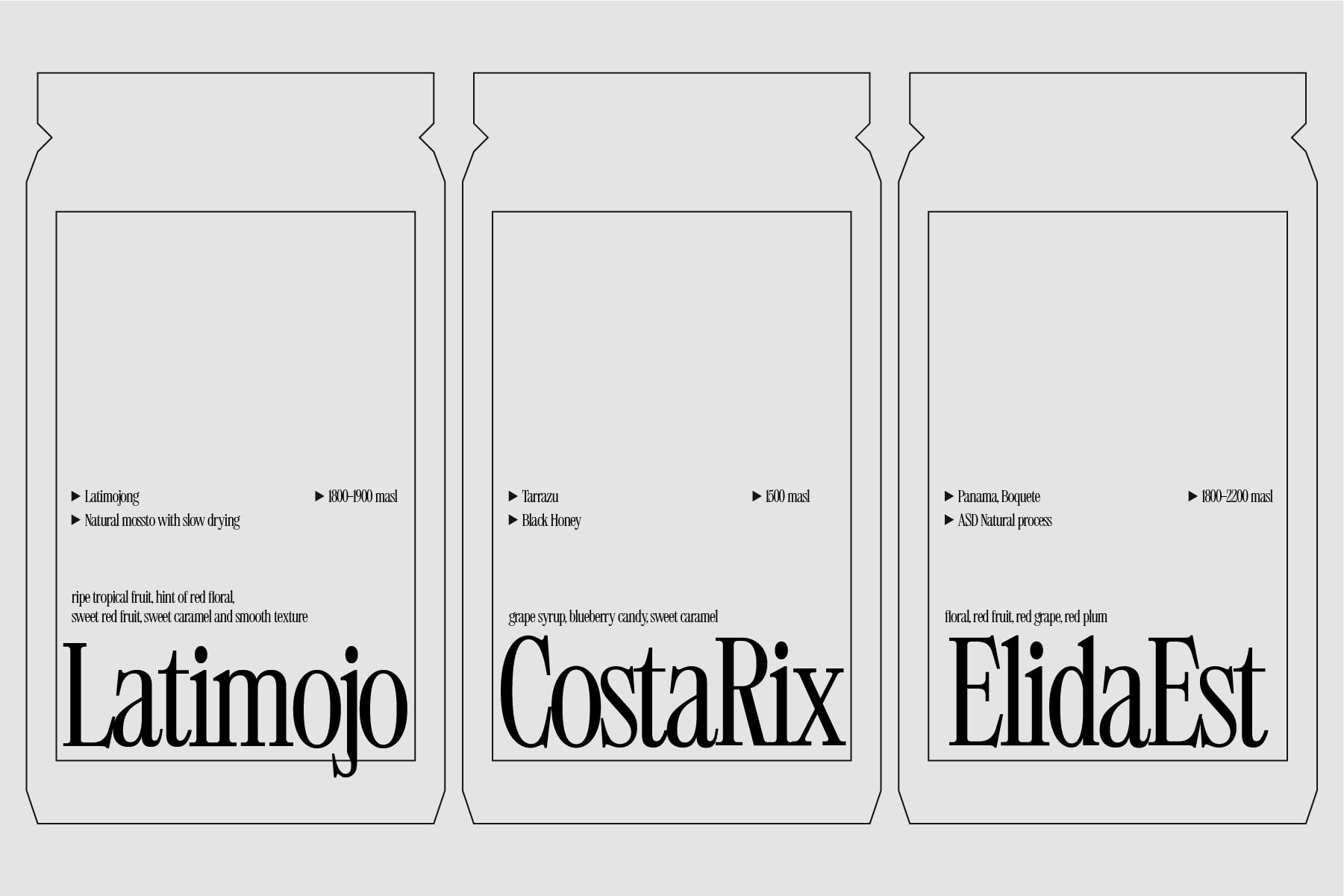 Three coffee bag mockups with Latimojo, CostaRix, ElidaEst labels showing product specs