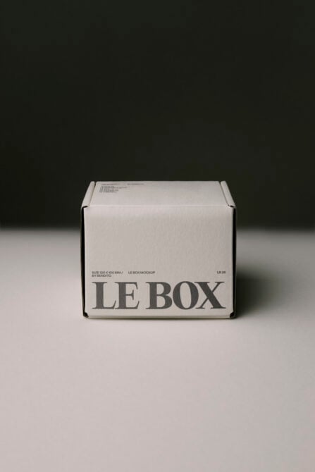 White cardboard shipping box with LE BOX branding, front view