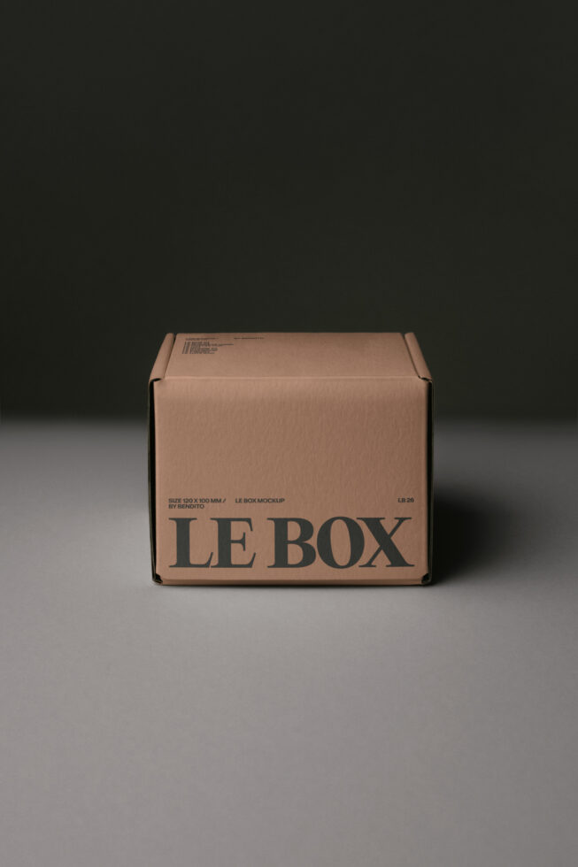 Kraft cardboard shipping box with LE BOX branding, front view
