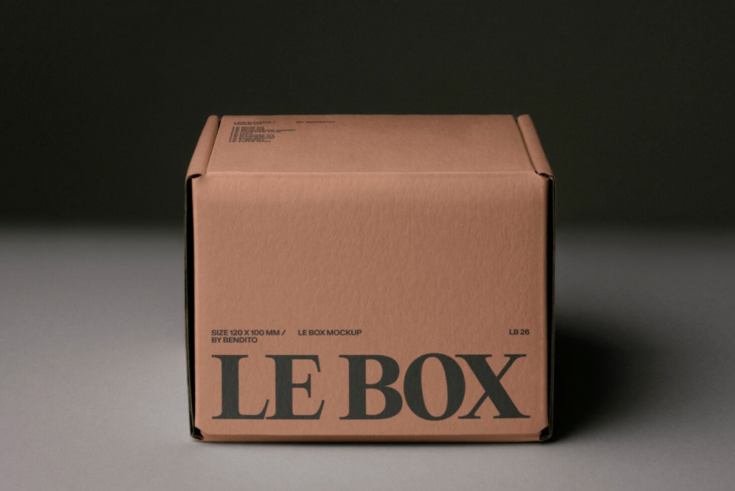 Kraft cardboard box with LE BOX label in dark text, 120x100mm size