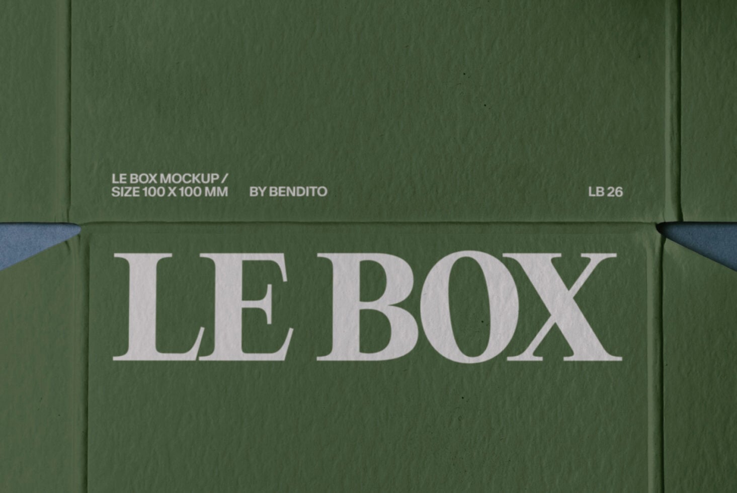 Green cardboard box mockup with LE BOX text, flat lay close-up