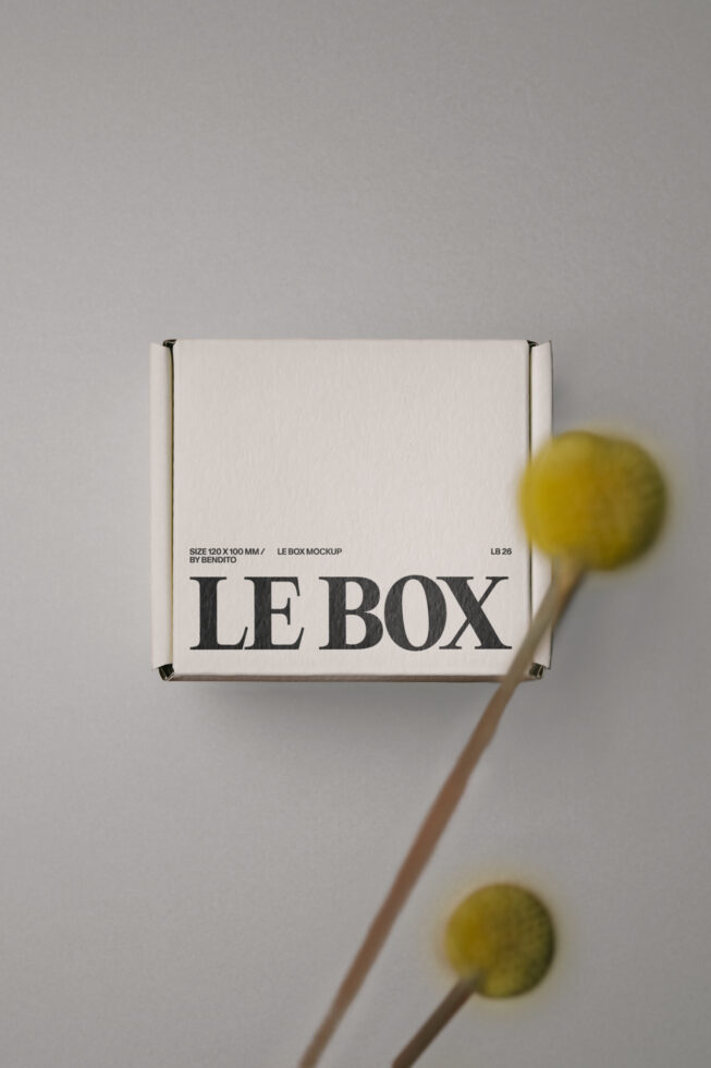 Cream cardboard shipping box labeled LE BOX with dried flower stems beside it