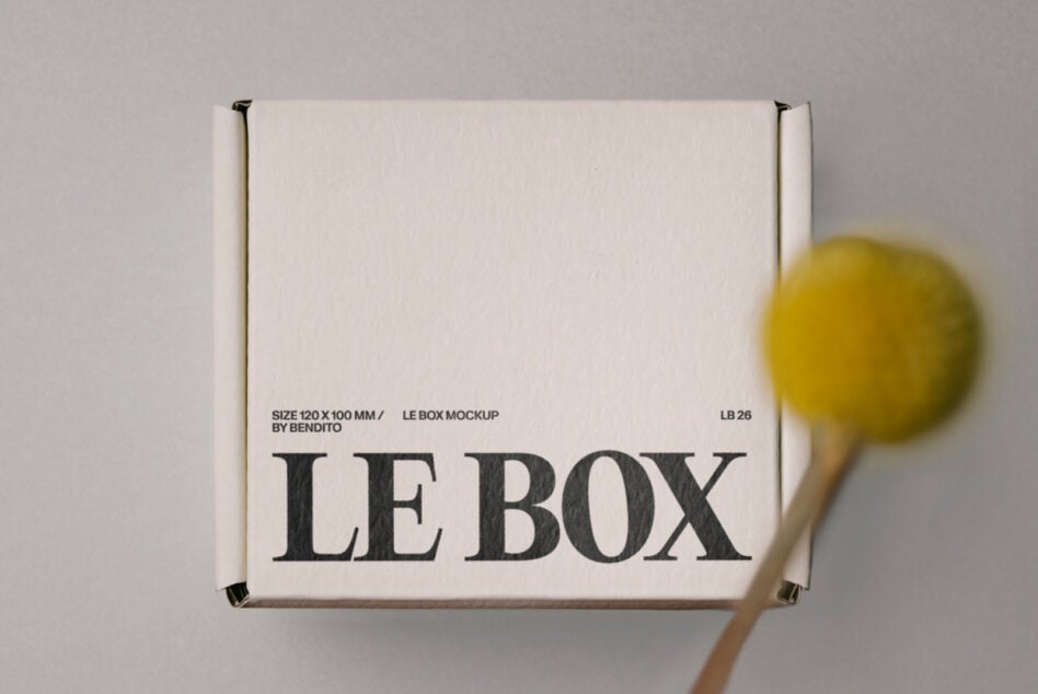White box mockup with black metal corners, large serif typography reading LE BOX, styled with yellow lollipop on gray background