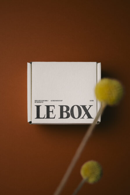 LE BOX mockup white mailer with yellow flower buds on terracotta background