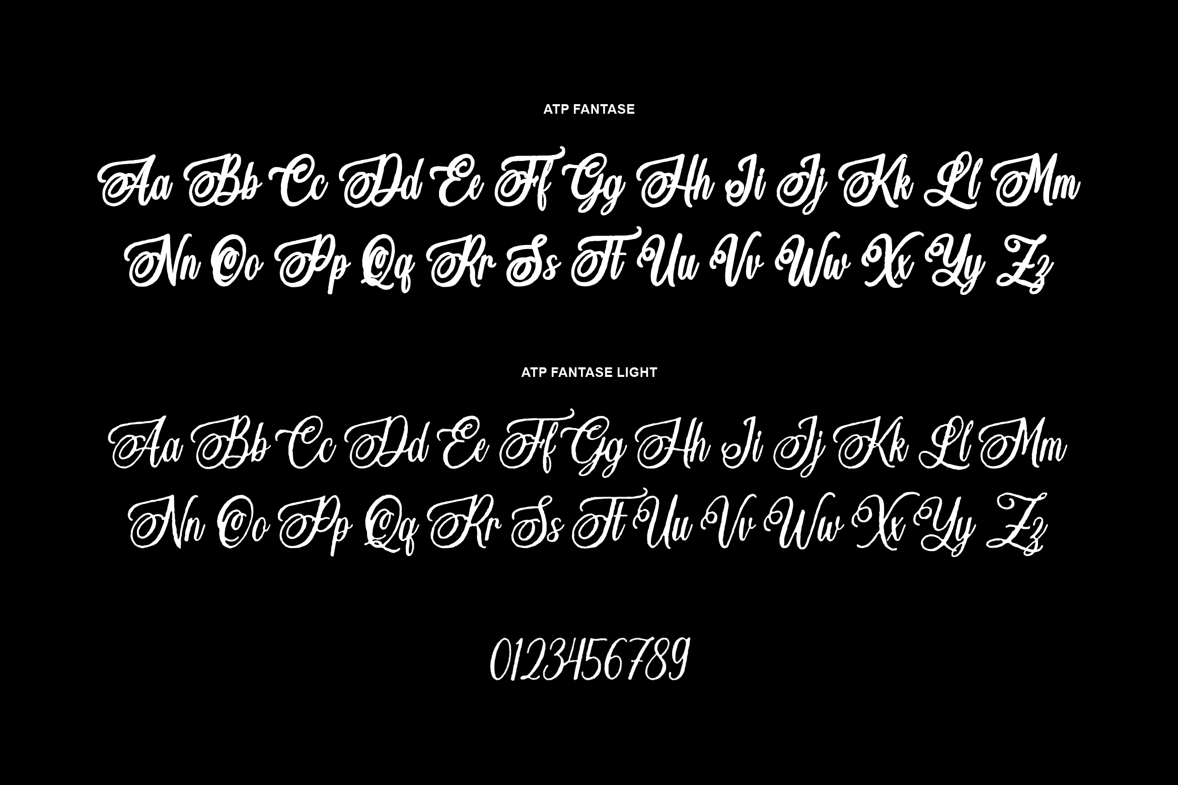 ATP Fantase cursive alphabet in two weights showing full character set with numbers