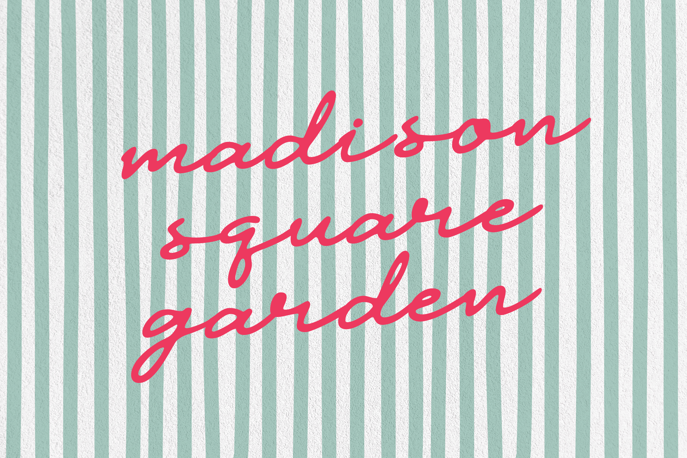Handwritten red script saying madison square garden on teal and white vertical striped background suitable for graphic design templates and typography projects.