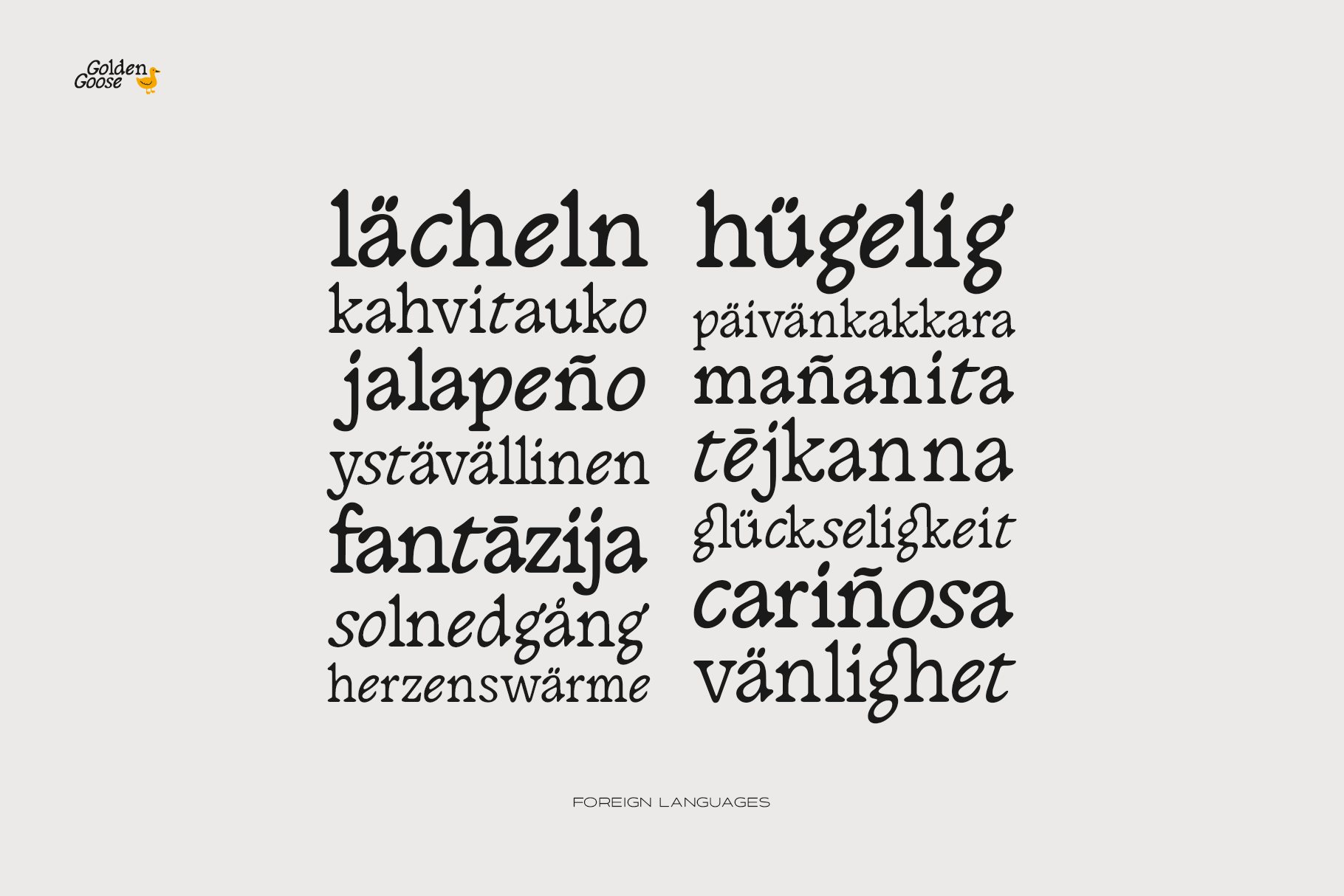 Foreign language words set in Golden Goose showing multilingual character support