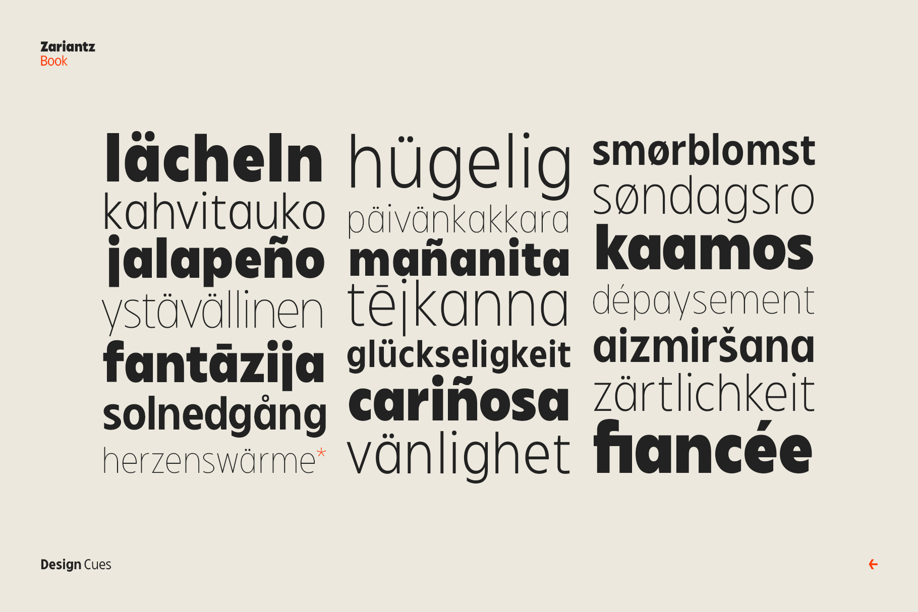 Multilingual word cloud showing Zariantz Book in various languages