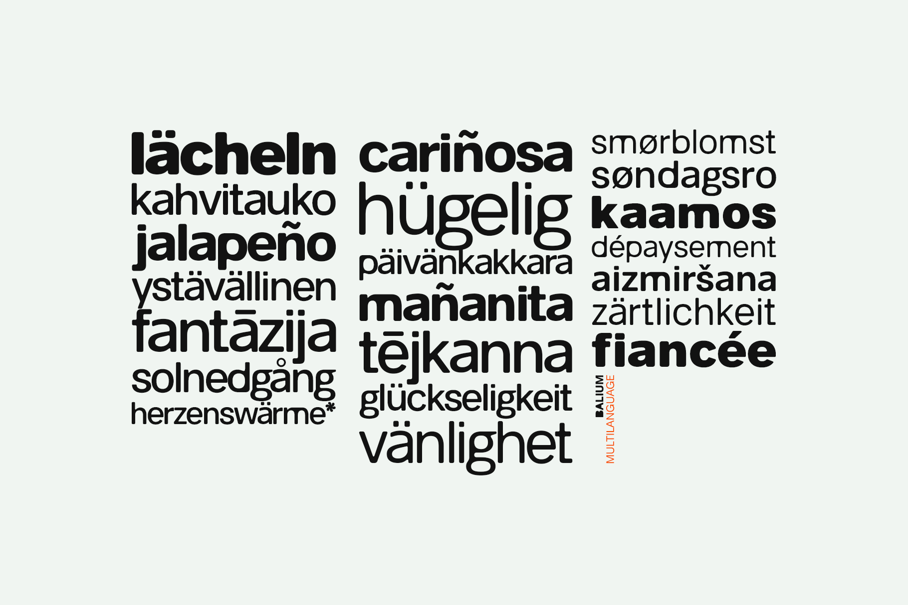 Word cloud featuring multilingual words in varying sizes, Balium Multilanguage label visible