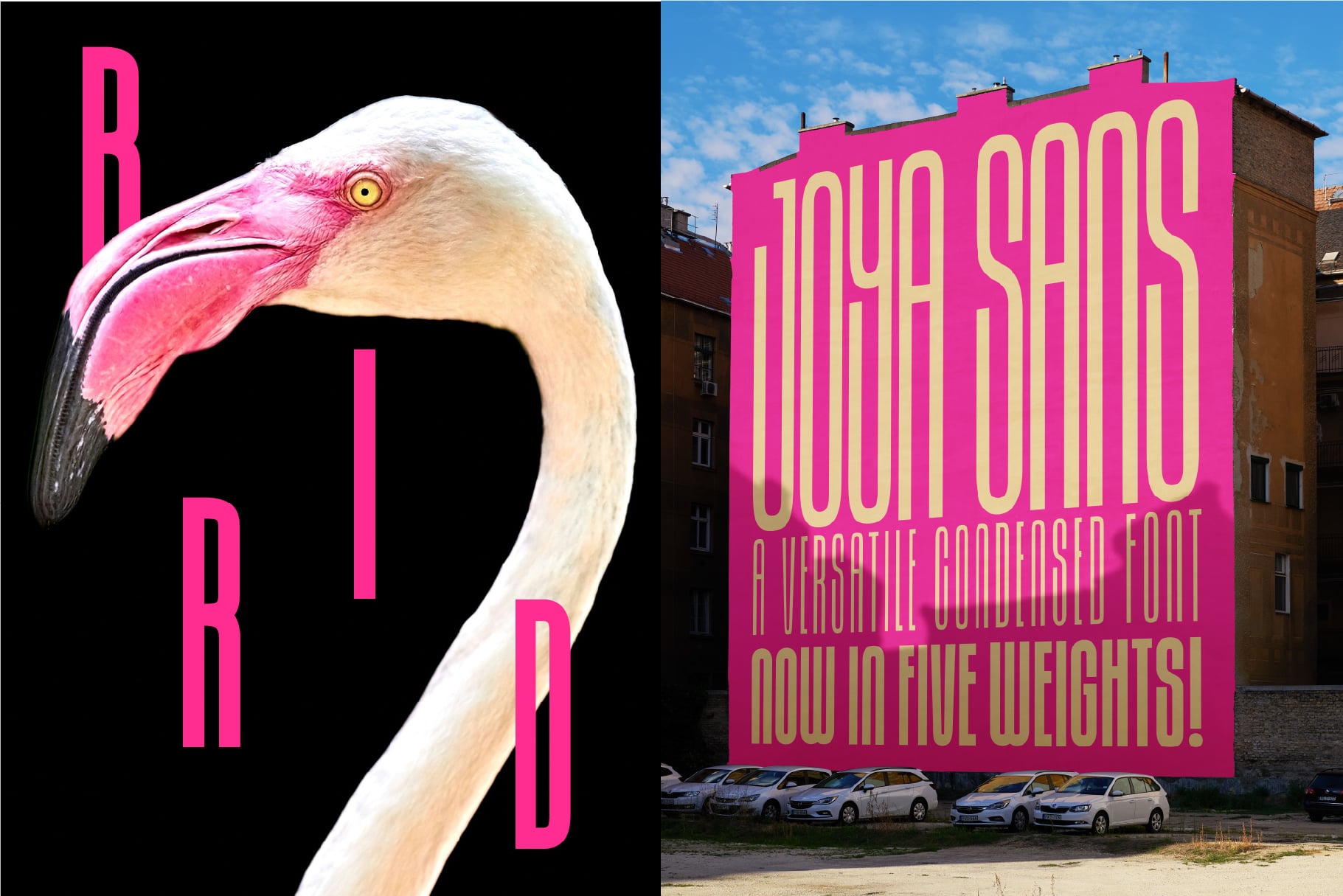 Split image of bird head with pink beak, bright billboard on building facade