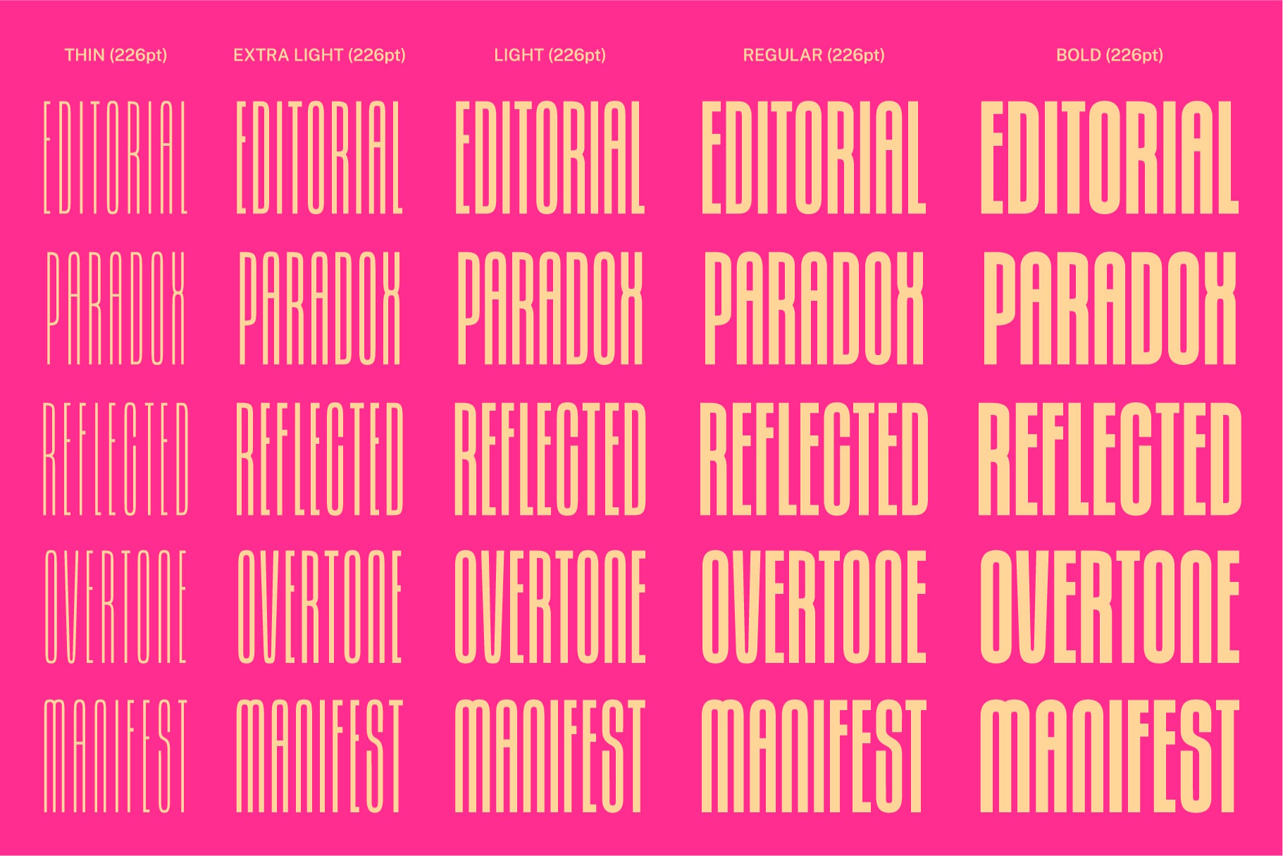 Editorial Paradox font family showing 5 weight variations from thin to bold