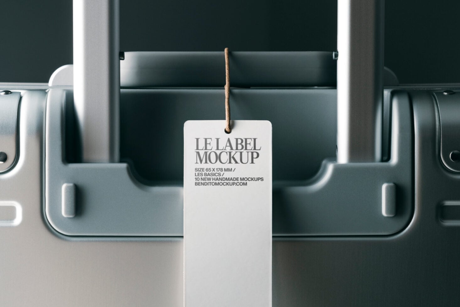 White hang tag with rope on dark teal container mockup