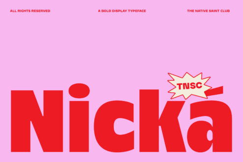 Pink background with large red Nicka typeface letter form on display
