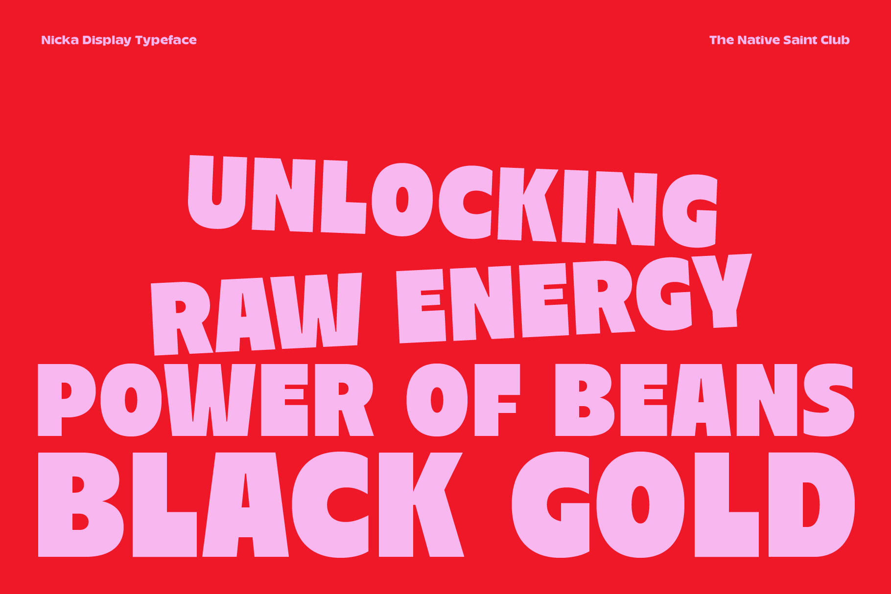 Red background with pink text reading Unlocking Raw Energy Power Of Beans Black Gold