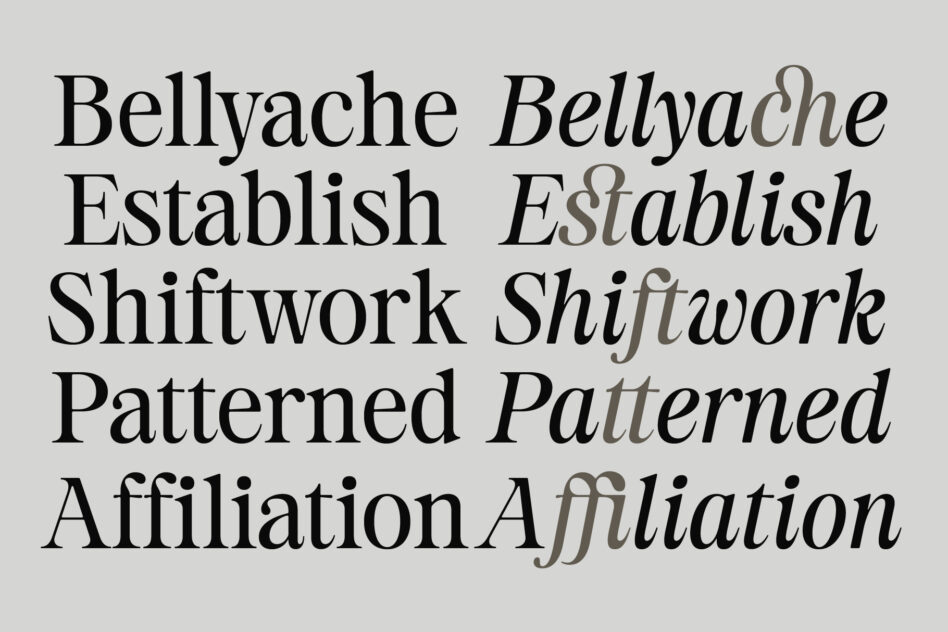 Bellyache Establish Shiftwork Patterned Affiliation serif font samples