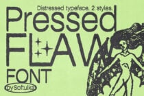 Distressed font sample showing rough texture, charcoal on lime with winged figure