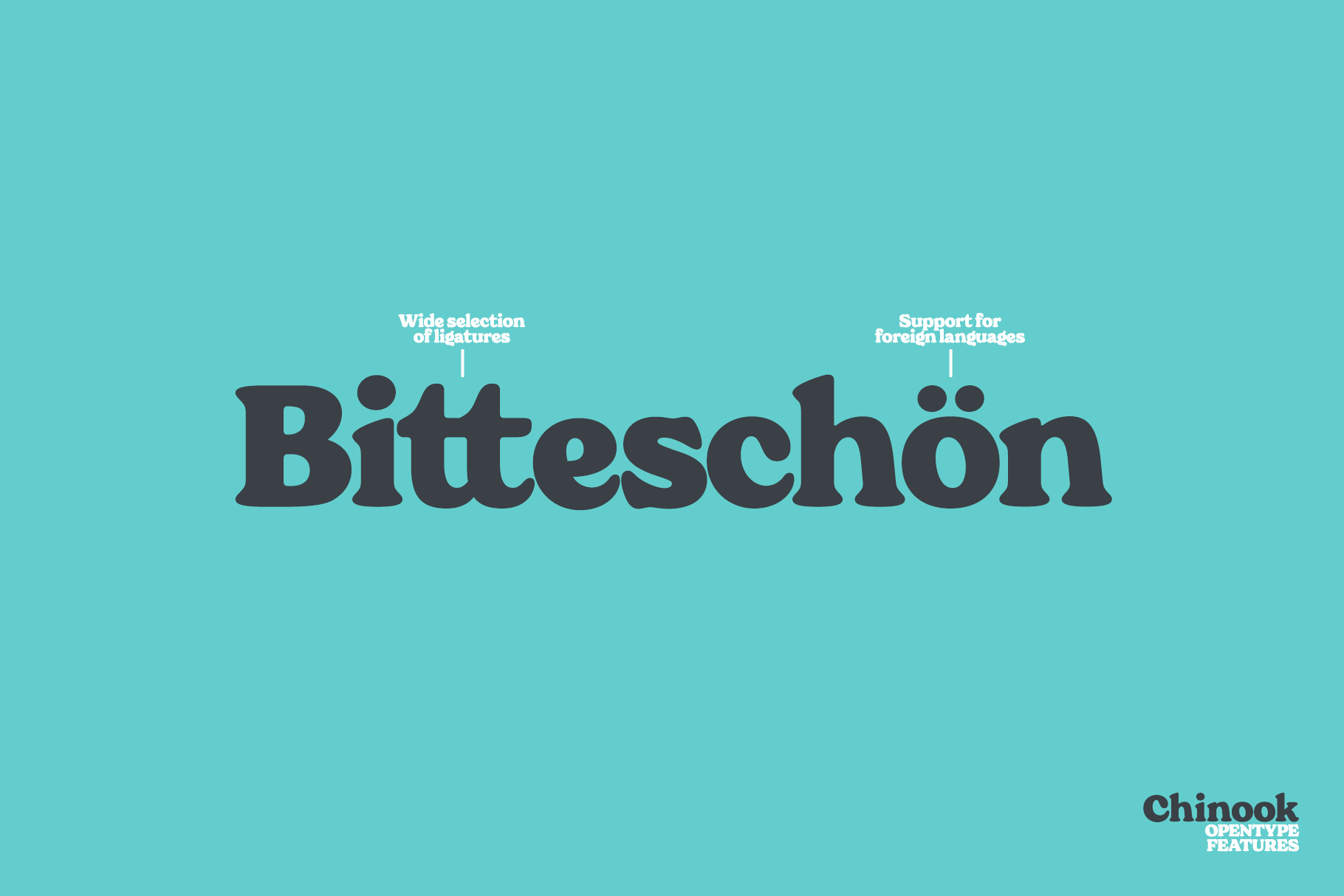 Bitteschön font displayed with ligatures on turquoise with annotations